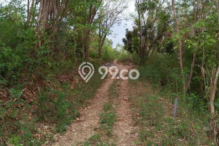 Kavling Tanah untuk Dijual di Labuan Bajo, Manggarai Barat, Luas 615m2 Kavling Tanah untuk Dijual di Labuan Bajo, Manggarai Barat, Luas 615m2