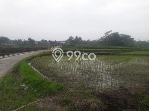 Tanah Dijual Lokasi Ciampea, Bogor dengan Luas Tanah 15000m2 dan Status SHM Tanah Dijual Lokasi Ciampea, Bogor dengan Luas Tanah 15000m2 dan Status SHM