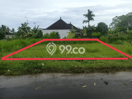 Untuk Dijual Tanah di Tabanan, Luas 300m2 SHM Untuk Dijual Tanah di Tabanan, Luas 300m2 SHM