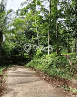 Untuk Dijual Tanah di Selemadeg Tabanan Luas 3800m2 SHM Untuk Dijual Tanah di Selemadeg Tabanan Luas 3800m2 SHM
