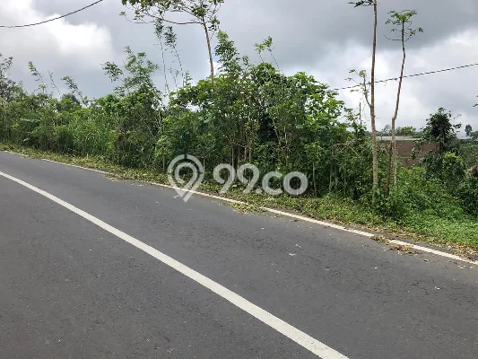 Tanah untuk Dijual di Kintamani Bangli Luas 51600m2 Tanah untuk Dijual di Kintamani Bangli Luas 51600m2