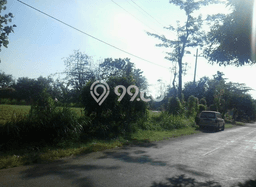 Kavling Tanah di Lumbang Dijual Luas 1530m2 Legalitas SHM Kavling Tanah di Lumbang Dijual Luas 1530m2 Legalitas SHM