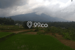 Tanah Dijual Lokasi Cidahu Sukabumi SHM Tanah Dijual Lokasi Cidahu Sukabumi SHM