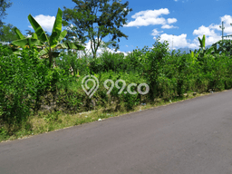 Tanah Kavling Dijual di Dieng, Malang dengan Luas Tanah 5972m2 Tanah Kavling Dijual di Dieng, Malang dengan Luas Tanah 5972m2