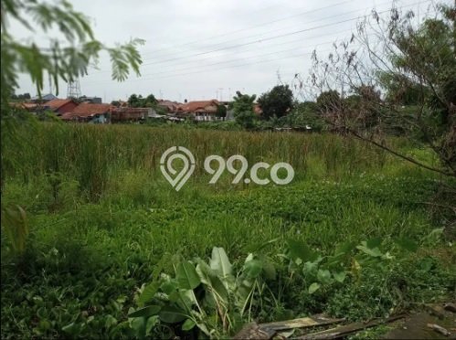Tanah Investasi Dijual di Purwakarta Punya Luas 15755m2 Tanah Investasi Dijual di Purwakarta Punya Luas 15755m2