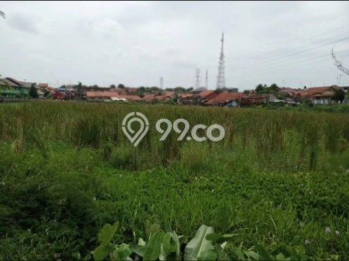 Tanah Investasi Dijual di Purwakarta Punya Luas 15755m2 Tanah Investasi Dijual di Purwakarta Punya Luas 15755m2