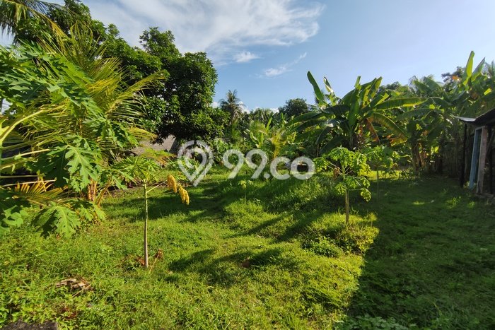 Tanah Komersial Kawasan Lovina, Luas 800m², Akses Mudah Tanah Komersial Kawasan Lovina, Luas 800m², Akses Mudah