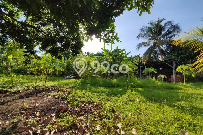 Tanah Komersial Kawasan Lovina, Luas 800m², Akses Mudah Tanah Komersial Kawasan Lovina, Luas 800m², Akses Mudah