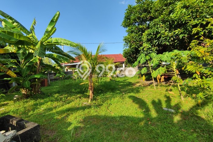 Tanah Komersial Kawasan Lovina, Luas 800m², Akses Mudah Tanah Komersial Kawasan Lovina, Luas 800m², Akses Mudah