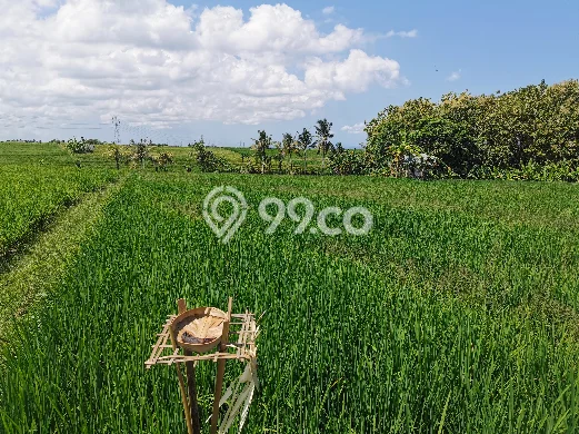 Tanah Lokasi Potensial Kawasan Bajera, Luas 10000m², Dekat ke Fasilitas, Lingkungan Asri Tanah Lokasi Potensial Kawasan Bajera, Luas 10000m², Dekat ke Fasilitas, Lingkungan Asri