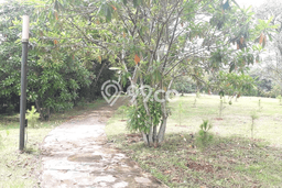 Tanah Dijual Area Strategis di BSD Avani Tangerang 250m2 Tanah Dijual Area Strategis di BSD Avani Tangerang 250m2
