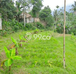 Tanah Dijual Lokasi Cigombong, Bogor Luas 1200m2 Legalitas Aman Tanah Dijual Lokasi Cigombong, Bogor Luas 1200m2 Legalitas Aman