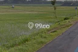 Dijual Tanah Area Berkembang Kawasan Jatikalen, Luas 50000m², Lingkungan Nyaman Dijual Tanah Area Berkembang Kawasan Jatikalen, Luas 50000m², Lingkungan Nyaman