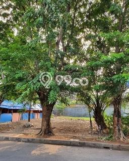 Tanah Kavling untuk Dijual di Kembangan Jakarta Barat 525m2 Tanah Kavling untuk Dijual di Kembangan Jakarta Barat 525m2