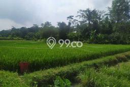 Tanah Dijual Lokasi Cipocok Jaya, Serang Luas 2677m2 Legalitas Aman Tanah Dijual Lokasi Cipocok Jaya, Serang Luas 2677m2 Legalitas Aman