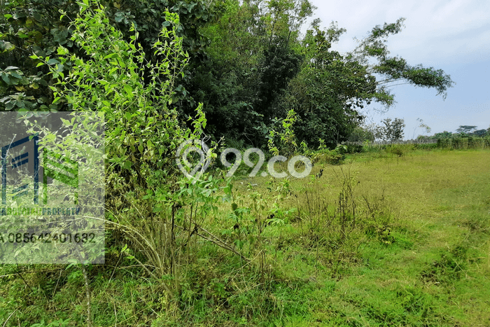 Tanah Dijual di Boyolali Seluas 4580m2 Strategis Tanah Dijual di Boyolali Seluas 4580m2 Strategis