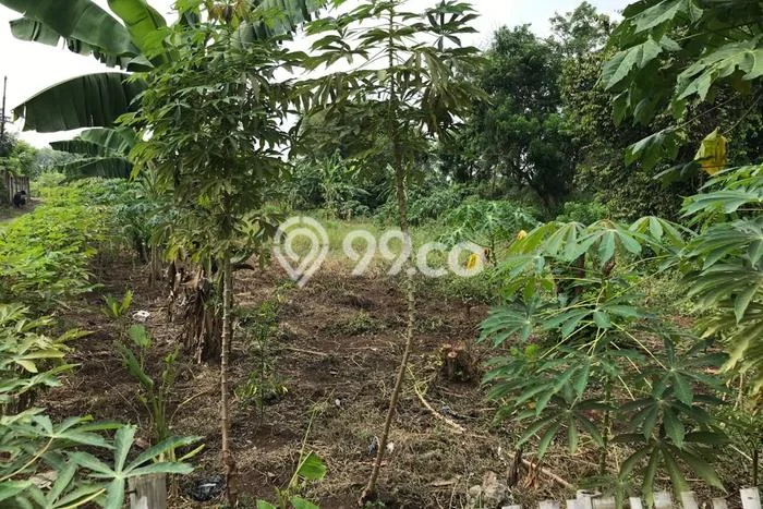 Dijual Tanah Lokasi Serang Timur, Serang Seluas 600m2 Dijual Tanah Lokasi Serang Timur, Serang Seluas 600m2