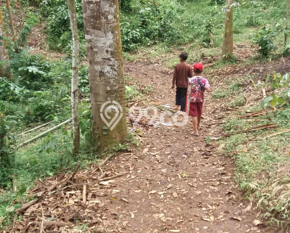 Lahan Strategis di Cipanas Dijual dengan Luas 50000m2 Lahan Strategis di Cipanas Dijual dengan Luas 50000m2