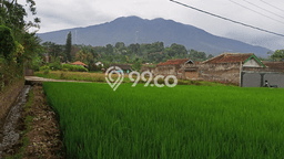 Tanah di Cicurug, Sukabumi Luas 3000m2 Dijual Segera Tanah di Cicurug, Sukabumi Luas 3000m2 Dijual Segera