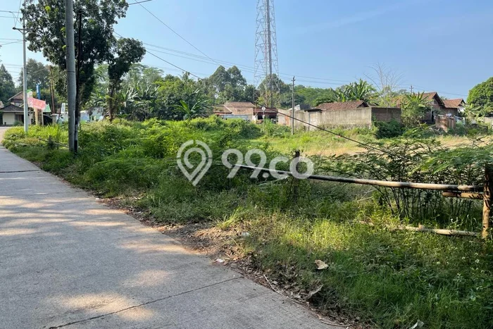 Lahan Dijual Lokasi Banyuputih, Batang dengan Luas Tanah 5513m2 dan Status SHM Lahan Dijual Lokasi Banyuputih, Batang dengan Luas Tanah 5513m2 dan Status SHM