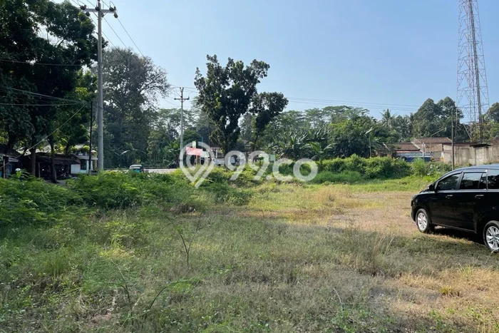Lahan Dijual Lokasi Banyuputih, Batang dengan Luas Tanah 5513m2 dan Status SHM Lahan Dijual Lokasi Banyuputih, Batang dengan Luas Tanah 5513m2 dan Status SHM