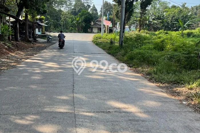 Lahan Dijual Lokasi Banyuputih, Batang dengan Luas Tanah 5513m2 dan Status SHM Lahan Dijual Lokasi Banyuputih, Batang dengan Luas Tanah 5513m2 dan Status SHM
