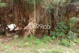 Tanah Dijual di Jakarta Timur Seluas 336m2 Strategis Tanah Dijual di Jakarta Timur Seluas 336m2 Strategis