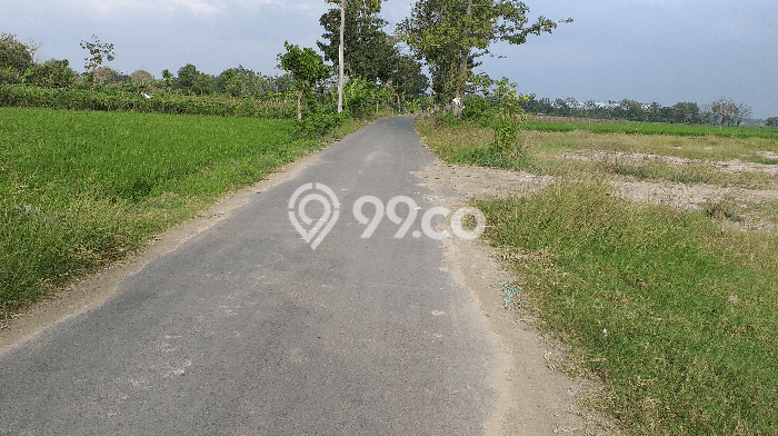 Kavling Tanah di Warureja Dijual Luas 16730m2 Legalitas - Kavling Tanah di Warureja Dijual Luas 16730m2 Legalitas -