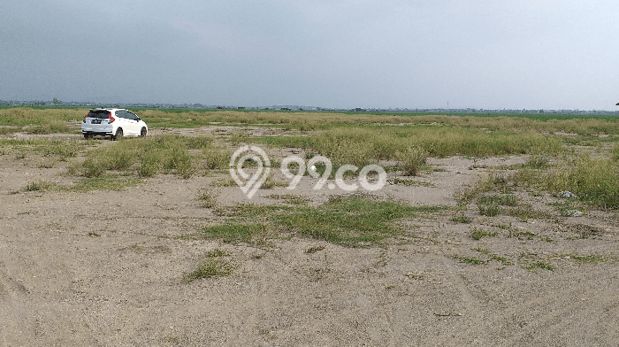 Kavling Tanah di Warureja Dijual Luas 16730m2 Legalitas - Kavling Tanah di Warureja Dijual Luas 16730m2 Legalitas -