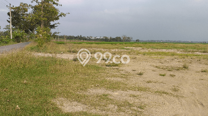 Kavling Tanah di Warureja Dijual Luas 16730m2 Legalitas - Kavling Tanah di Warureja Dijual Luas 16730m2 Legalitas -
