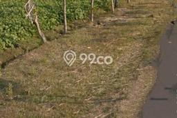 Tanah di Pilangkenceng, Madiun Luas 20000m2 Dijual Segera Tanah di Pilangkenceng, Madiun Luas 20000m2 Dijual Segera