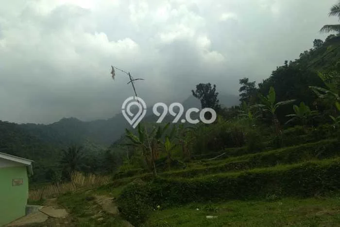 Untuk Dijual Tanah di Cidahu Sukabumi Luas 3100m2 SHM Untuk Dijual Tanah di Cidahu Sukabumi Luas 3100m2 SHM