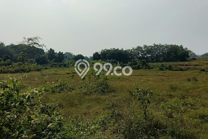 Lahan Strategis di Jawilan Dijual dengan Luas 67000m2 Lahan Strategis di Jawilan Dijual dengan Luas 67000m2