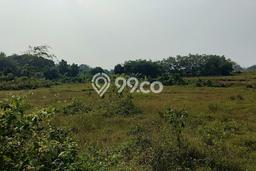 Lahan Strategis di Jawilan Dijual dengan Luas 67000m2 Lahan Strategis di Jawilan Dijual dengan Luas 67000m2
