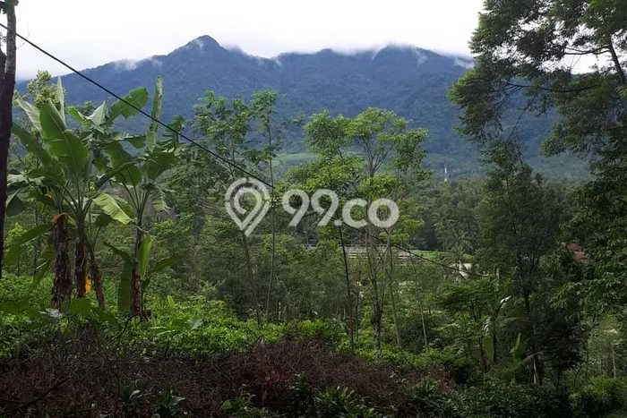 Tanah Kavling Dijual di Subang Kota, Subang dengan Luas Tanah 20000m2 Tanah Kavling Dijual di Subang Kota, Subang dengan Luas Tanah 20000m2