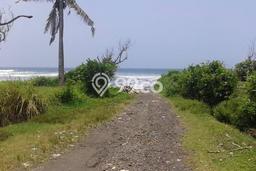 Tanah Kavling Dijual di Tabanan dengan Spesifikasi 153900m2 Tanah Kavling Dijual di Tabanan dengan Spesifikasi 153900m2