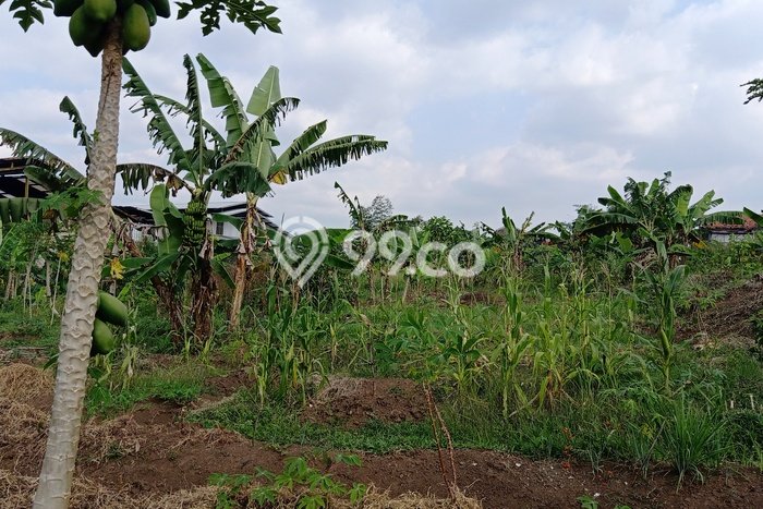 Lahan untuk Dijual Lokasi Katapang, Bandung Luas 10110m2 SHM Lahan untuk Dijual Lokasi Katapang, Bandung Luas 10110m2 SHM