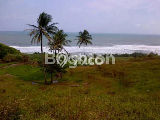 Tanah Dijual Lokasi Sindangbarang Cianjur SHM Tanah Dijual Lokasi Sindangbarang Cianjur SHM
