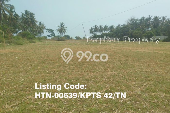 Untuk Dijual Tanah di Panimbang Pandeglang Luas 14000m2 - Untuk Dijual Tanah di Panimbang Pandeglang Luas 14000m2 -