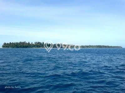 Jarang Ada! Tanah di Karimunjawa Punya Luas 1m2 SHM Jarang Ada! Tanah di Karimunjawa Punya Luas 1m2 SHM
