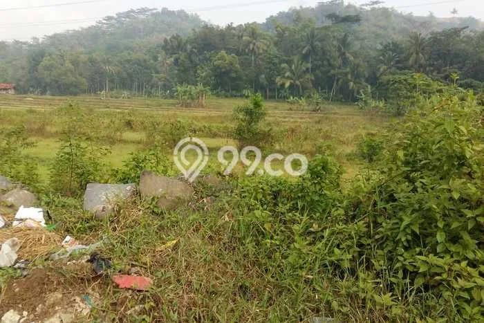 Lahan Kosong Dijual di Ajibarang, Banyumas, Luas 3600m2 Area Strategis Lahan Kosong Dijual di Ajibarang, Banyumas, Luas 3600m2 Area Strategis