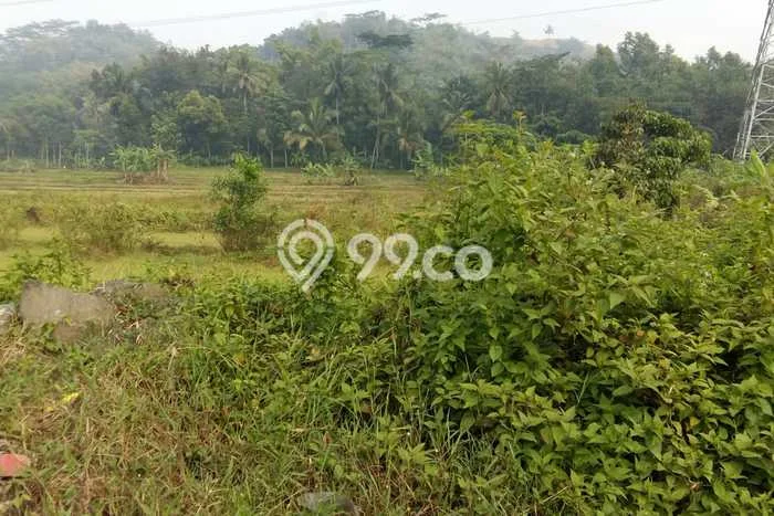 Lahan Kosong Dijual di Ajibarang, Banyumas, Luas 3600m2 Area Strategis Lahan Kosong Dijual di Ajibarang, Banyumas, Luas 3600m2 Area Strategis