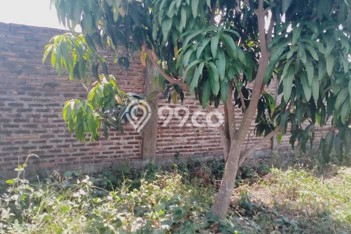 Lahan Dijual Lokasi Kramatwatu, Serang dengan Luas Tanah 1393m2 dan Status SHM Lahan Dijual Lokasi Kramatwatu, Serang dengan Luas Tanah 1393m2 dan Status SHM