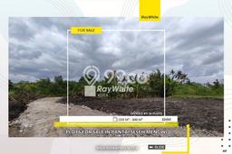 Lahan Dijual Lokasi Mengwi, Badung dengan Luas Tanah 300m2 dan Status SHM Lahan Dijual Lokasi Mengwi, Badung dengan Luas Tanah 300m2 dan Status SHM