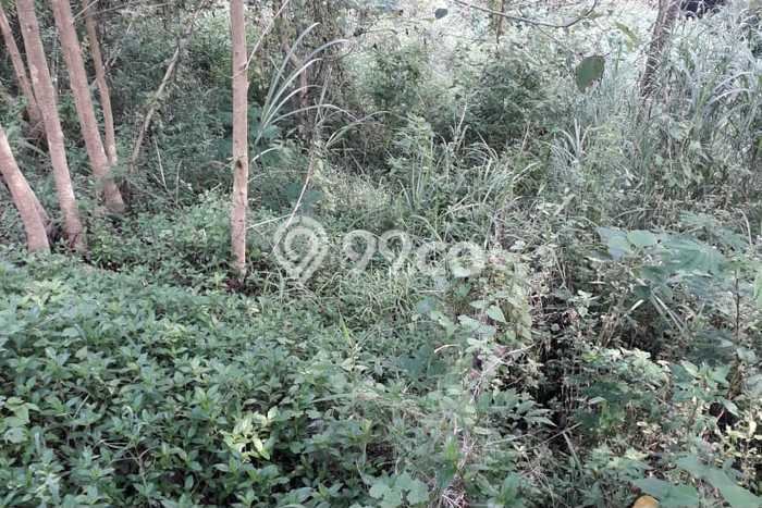 Lahan Kosong Dijual di Bandung Barat dengan Area 465m2 Lahan Kosong Dijual di Bandung Barat dengan Area 465m2
