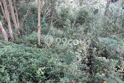 Lahan Kosong Dijual di Bandung Barat dengan Area 465m2 Lahan Kosong Dijual di Bandung Barat dengan Area 465m2