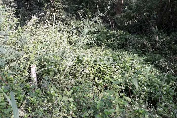 Lahan Kosong Dijual di Bandung Barat dengan Area 465m2 Lahan Kosong Dijual di Bandung Barat dengan Area 465m2