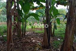 Dijual Tanah Lokasi Jatikarya, Bekasi Seluas 300m2 Dijual Tanah Lokasi Jatikarya, Bekasi Seluas 300m2