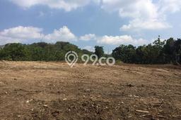 Tanah untuk Dijual di Tembalang Semarang Luas 12430m2 Tanah untuk Dijual di Tembalang Semarang Luas 12430m2