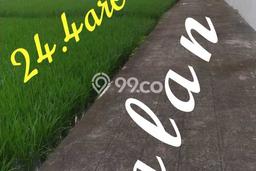 Kavling Tanah untuk Dijual di Cemagi, Badung, Luas 2440m2 Kavling Tanah untuk Dijual di Cemagi, Badung, Luas 2440m2